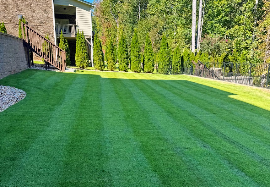 Healthy striped turf lawn treated by Big Peach Turf Care